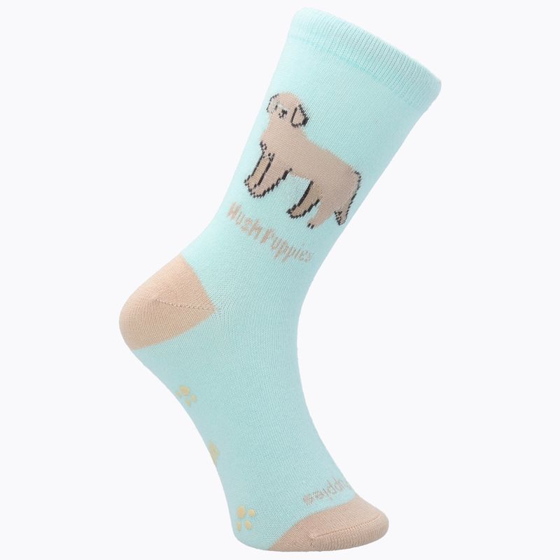 CALCETIN ALGODÓN NIÑA C GOLDEN CELESTE HUSH PUPPIES