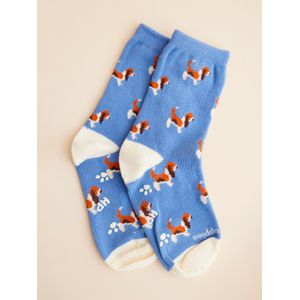 Calcetin Algodón Niño C Basset Azul Hush Puppies