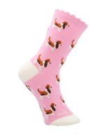 Calcetin Algodón Niña C St Basset Rosado Hush Puppies
