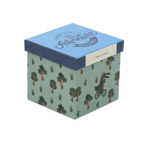 Calcetin Algodón Niño Pack Gift Pcnic Multicolor Hush Puppies