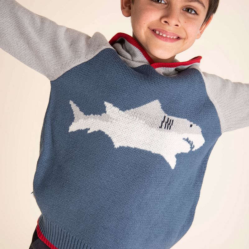 Sweater Shark